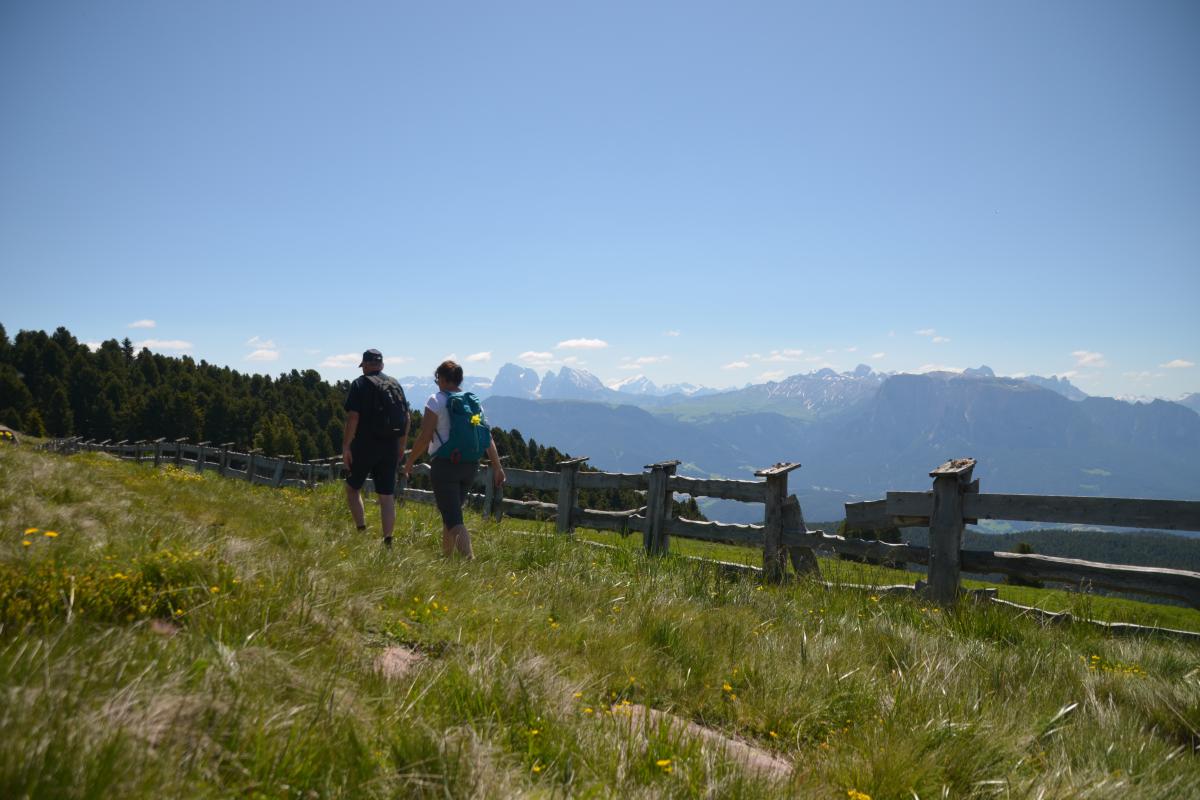 Latschenbrennerei und Platzer Alm2 23.06.2020